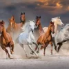 Puzzle The Horse Race