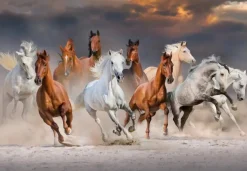 Puzzle The Horse Race