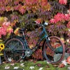 Puzzle The magic of autumn