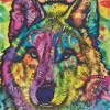 Puzzle The stare of wolf
