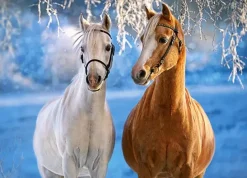 Puzzle The Winter Horses