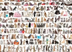 Puzzle The World of Cats