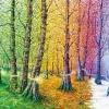 Puzzle Thread of Life