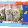 Puzzle Three Gray Kittens