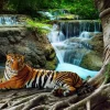 Puzzle Tiger in the forest