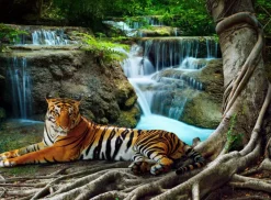 Puzzle Tiger in the forest