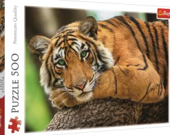 Puzzle Tiger Portrait