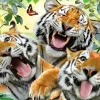 Puzzle Tiger Selfie 260