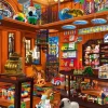 Puzzle Toy Shoppe Hidden