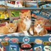 Puzzle Traveling kittens Educa