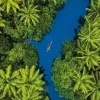 Puzzle Tropical bird's eye view