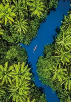 Puzzle Tropical bird's eye view