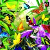 Puzzle Tropical butterflies