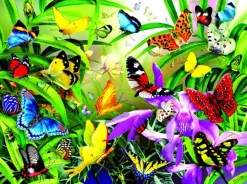 Puzzle Tropical butterflies