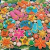 Puzzle Tropical Cookies 1000
