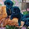 Puzzle Trouble In The Garden