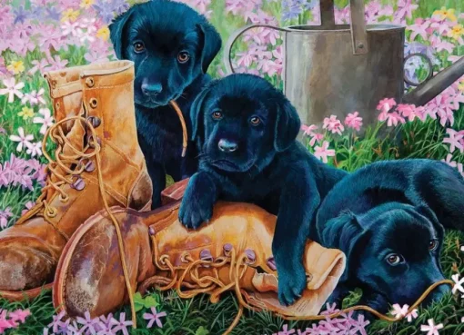 Puzzle Trouble In The Garden