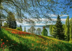 Puzzle Tulips Field - Mainau Island