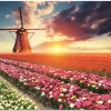 Puzzle Tulips landscape