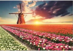 Puzzle Tulips landscape