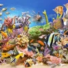 Puzzle Underwater Life