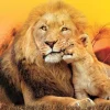 Puzzle Unexpected hug