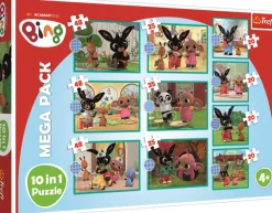 Puzzle 10v1 Bing: What is Bing Doing?