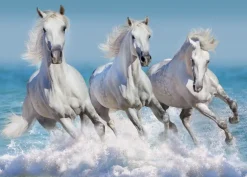 Puzzle Vaurioitunut laatikko Horse Paradise