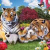 Puzzle Vaurioitunut laatikko Proud Parents