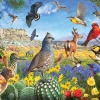Puzzle Vest - Texas Birds 1000