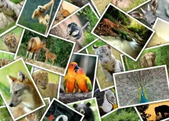 Puzzle Walk to the Zoo