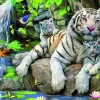 Puzzle White Tigers of Bengal 2