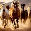 Puzzle Wild Horses