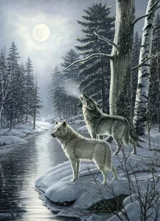 Puzzle Wolves by Moonlight