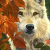 Puzzle Woodland Prince