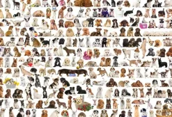 Puzzle World of dogs