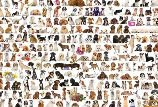 Puzzle World of dogs