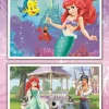 Puzzle 2x20 Ariel