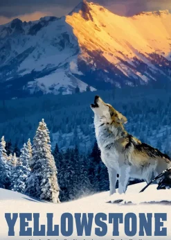 Puzzle Yellowstone Wolf 500