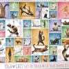 Puzzle Yoga cats