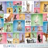 Puzzle Yoga dogs