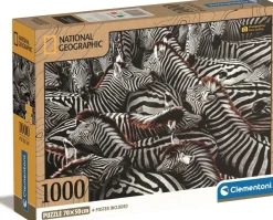 Puzzle Zebras in Holding Pen
