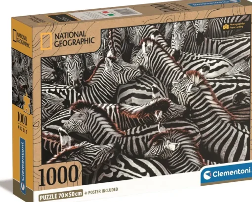 Puzzle Zebras in Holding Pen